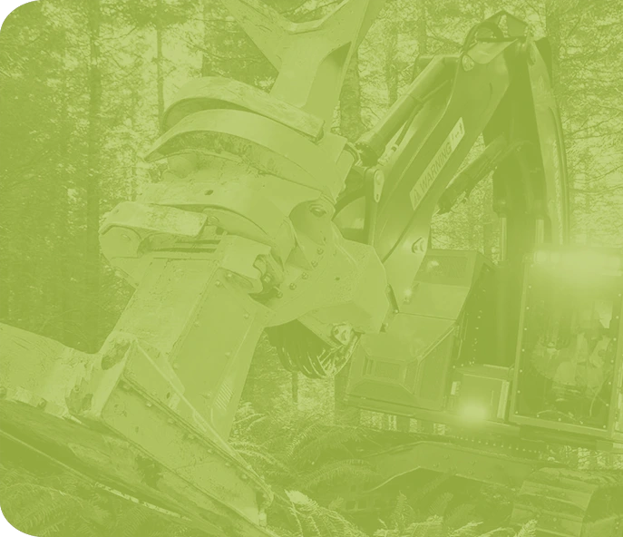 Producto forestal: madera procesada lista para su distribución